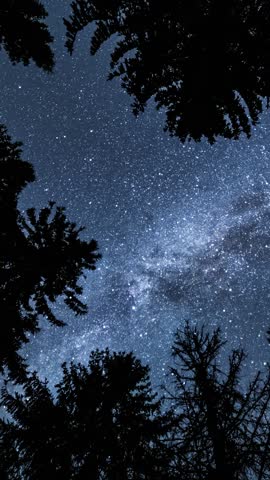 Vertical Time Lapse of Milky Way Galaxy Stars Above Forest Trees