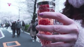 A woman holds a wine glass with sparkling champagne and strawberries inside during cherry blossom season in Japan.
 - Powered by Shutterstock - Get 15% off with code: PIKWIZARD15