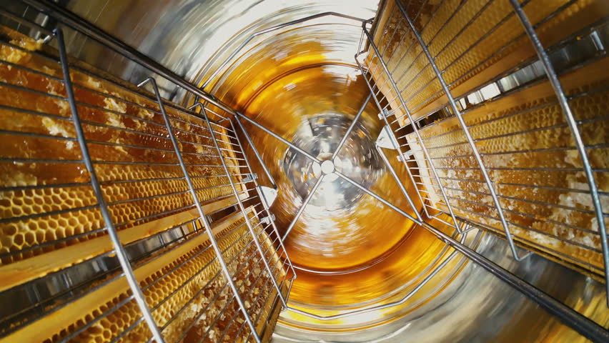 Honey Manual Extracting In Metal Barrel Centrifuge. Frames Rotating, Apiarist