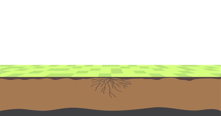 Carbon cycle diagram. Moving banner or educational infographic with biochemical process of Carbon Dioxide conversion. CO2 emission exchange in nature and environment. Flat graphic animated cartoon