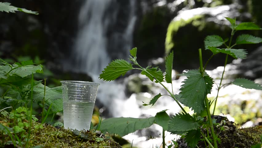glass of drinking water near the foliage waterfall