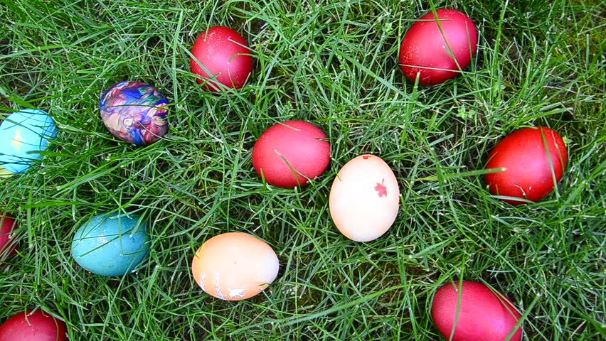 Easter egg hunting in grass, closeup