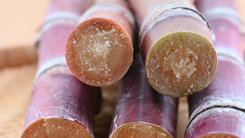 Close-up of fresh sugarcane in basket	