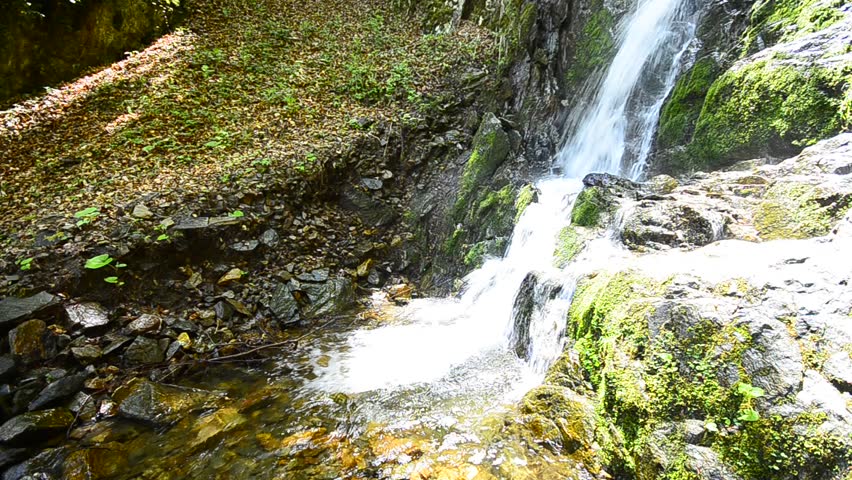 Waterfall in Tropical Paradise (HD Loop)