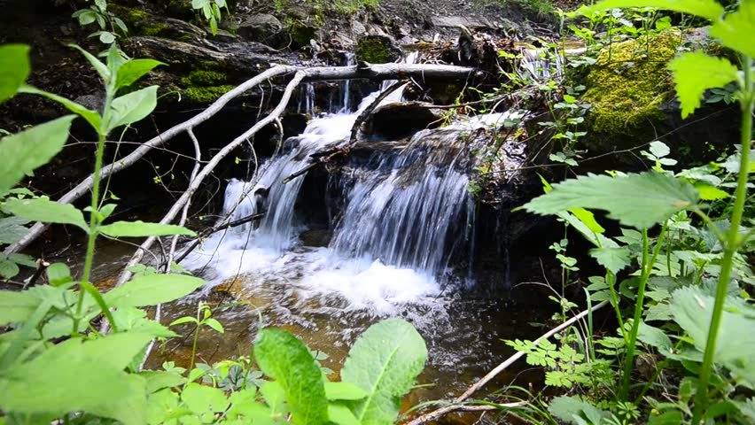 Water spring in forest.