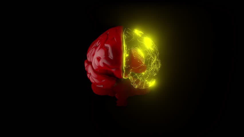 ฺBrain is red. Left brain neuron connections is active and changes colors. Futuristic medical technology concept. Animation seamless loop. 3D Render. - Powered by Shutterstock - Get 15% off with code: PIKWIZARD15