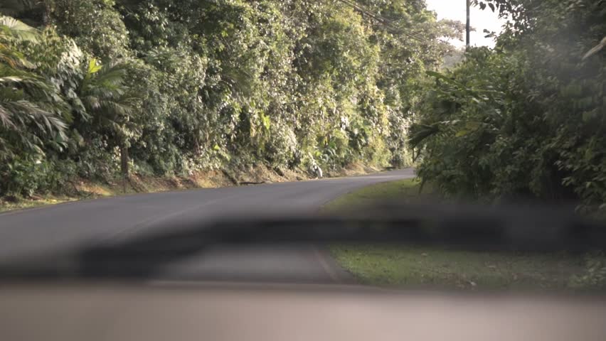 A view from a moving vehicle showing a winding, paved road flanked by dense, green jungle and lush foliage. The image captures scenic drive through the natural landscape of La Fortuna, Costa Rica.