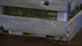 footage of vintage swing top closure bottles in wooden crate, showing traditional glass containers with swing top mechanism - Powered by Shutterstock - Get 15% off with code: PIKWIZARD15