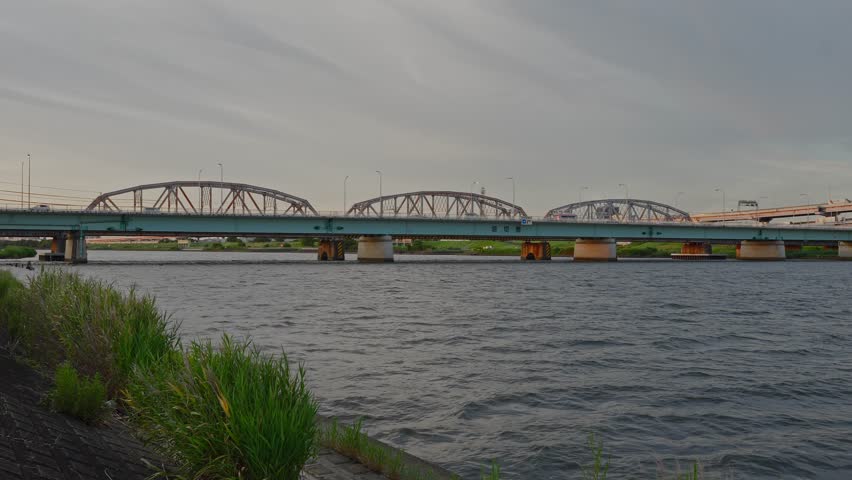A wide shot of multiple bridges crossing the Arakawa River, with lush green reeds in the foreground.