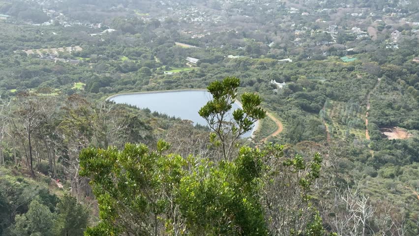 A reservoir at the bottom of the mountains near Kirstenbosch in Cape Town, South Africa.