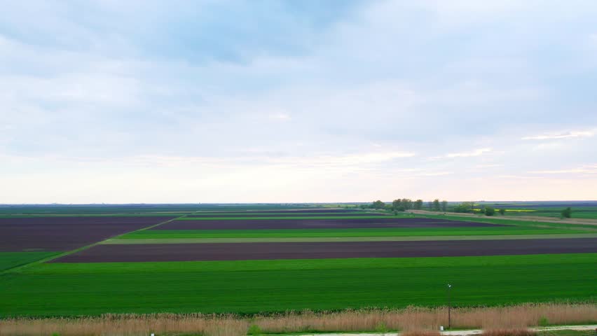 Vast green and purple fields under a cloudy sky in rural landscape during late afternoon