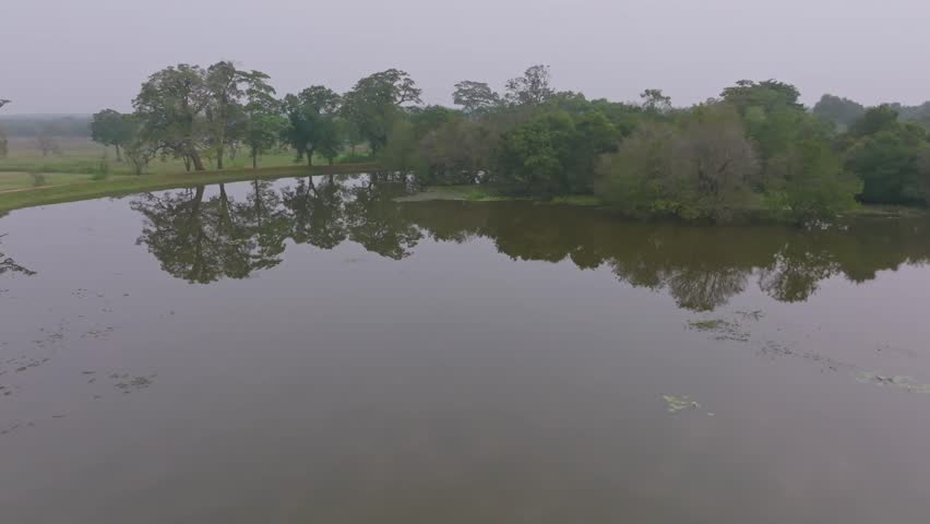 Zoom in drone shot of calm water reflecting trees and sky in the Sri Lankan countryside