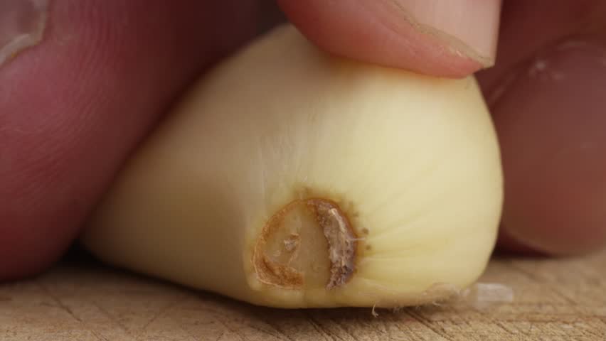 Close up macro view, knife cutting, slicing a Garlic in a wooden table, cooking