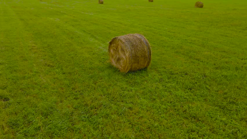 Aerial drone footage spinning and orbiting around a freshly made silage hay bale roll that is on a green grassy farm field during a windy and cloudy day. Other hay bales are visible in the background.