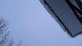 Sky landscape of winter frozen blue white roof under heavy snowfall cold season tree forest Hyrcanian nature woman drink herbal tea countryside Iran lifestyle relaxation hiking scenic adventure - Powered by Shutterstock - Get 15% off with code: PIKWIZARD15