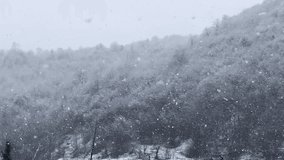 Hazy Forest drone shot wonderful landscape Iran Gilan winter season countryside trees mountain fog snowfall rural village Talesh people Hyrcanian nature farm agriculture cold lifestyle wooden cabin - Powered by Shutterstock - Get 15% off with code: PIKWIZARD15