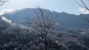 Mountain landscape and snowfall from trees in forest Hyrcanian nature Gilan travel Iran Georgia Sakartvelo rural village highland cabin agriculture road driving snowflakes extreme climate in Caucasus - Powered by Shutterstock - Get 15% off with code: PIKWIZARD15