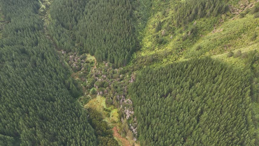 Stunning 4K drone footage captures a dynamic tilt-up shot in the Picton area of New Zealand