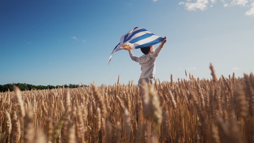 Patriot Boy Standing Wheat Field Holding Uruguayan Flag in the Wind, Uruguay