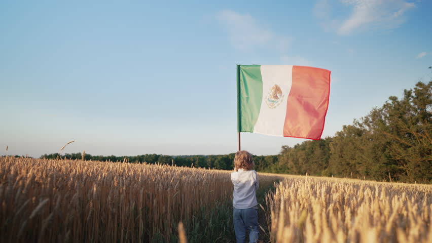 Mexican Little Boy Walking Through Golden Wheat Field with Mexico National Flag