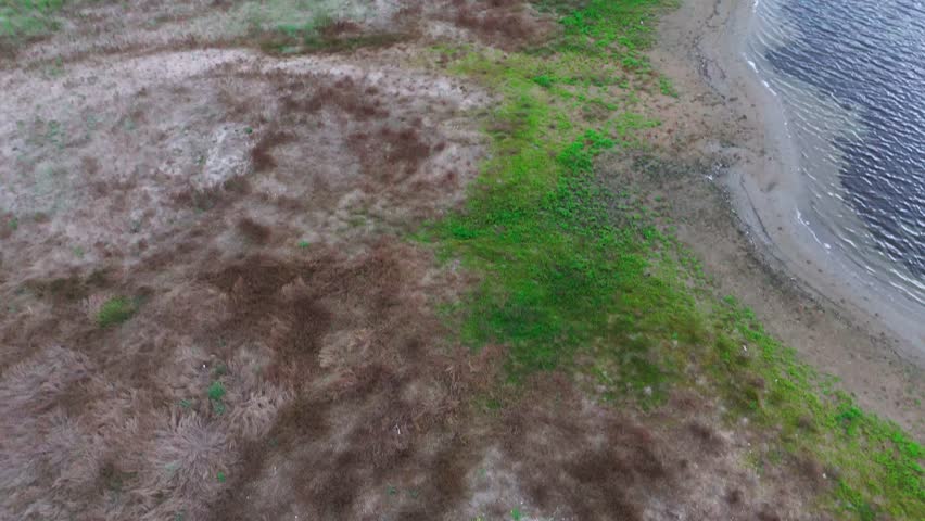 Aerial journey over serene coastal landscape with lush greenery and calm waters.