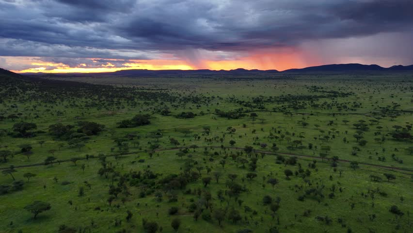 cloudy sunset in the Serengeti National Park in Tanzania.