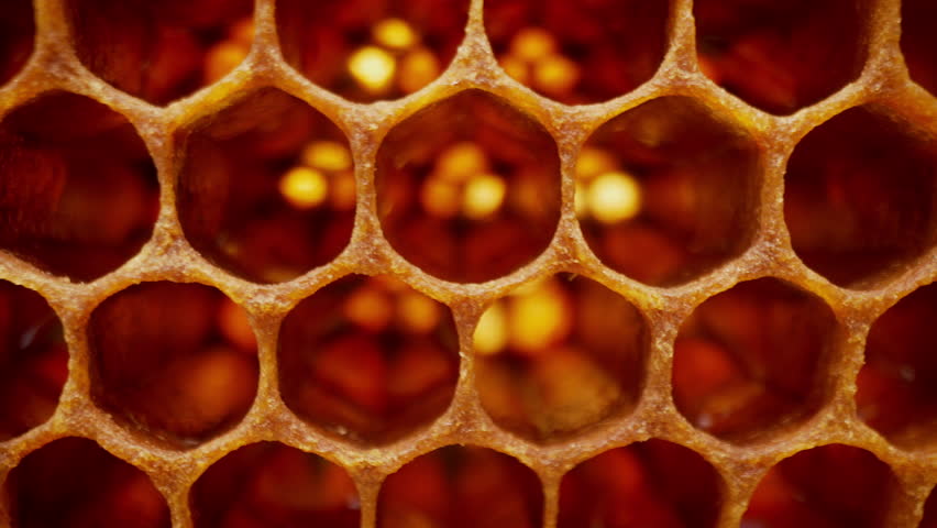 Honeycombs Extreme Macro Inside Bees Hive. Empty Yellow Wax Hexagonal Cells.