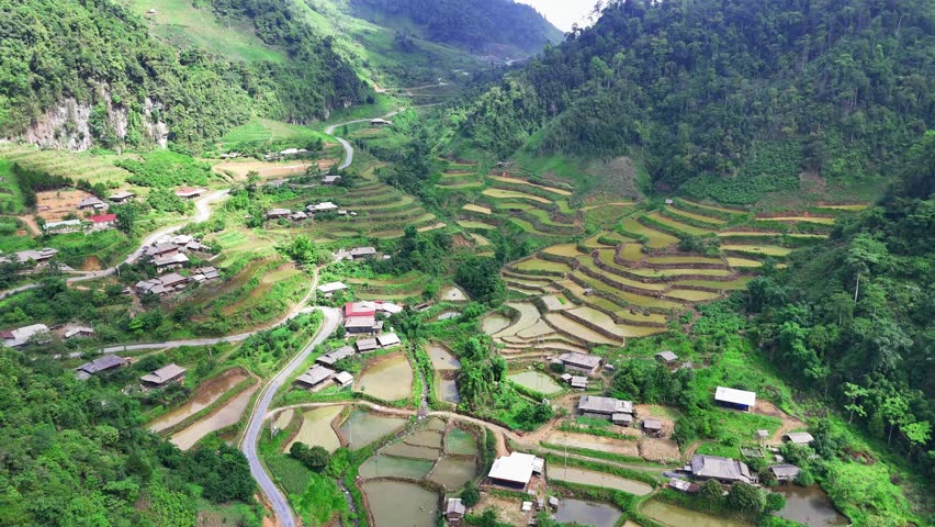 A drone view of verdant rice terraces sculpted into the hillsides of Northern Vietnam, with a winding river flowing through the lush terrain
