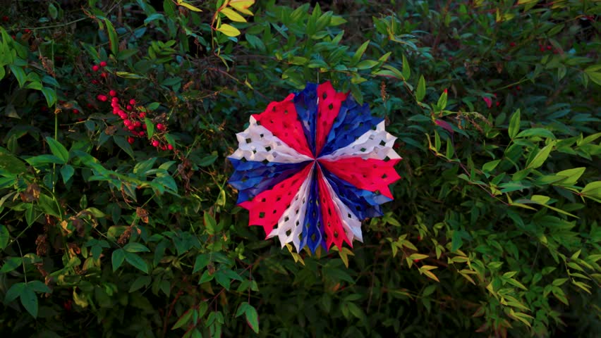 Fiestas Patrias chile pennant stars santiago sky grass elements red blue white green forest