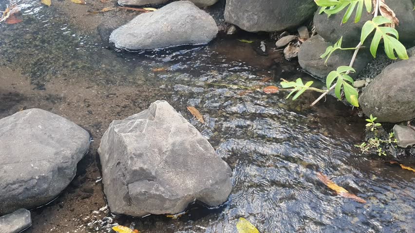 water flowing from the river near the rocks