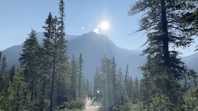 A scenic view of sunlight streaming through tall pines as hikers walk a forest trail toward a distant mountain peak in the morning haze - Powered by Shutterstock - Get 15% off with code: PIKWIZARD15