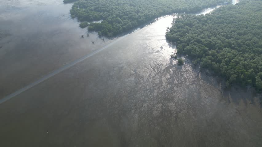 A body of water with a brownish color. Trees are visible in the background. The water is murky and has a brownish tint