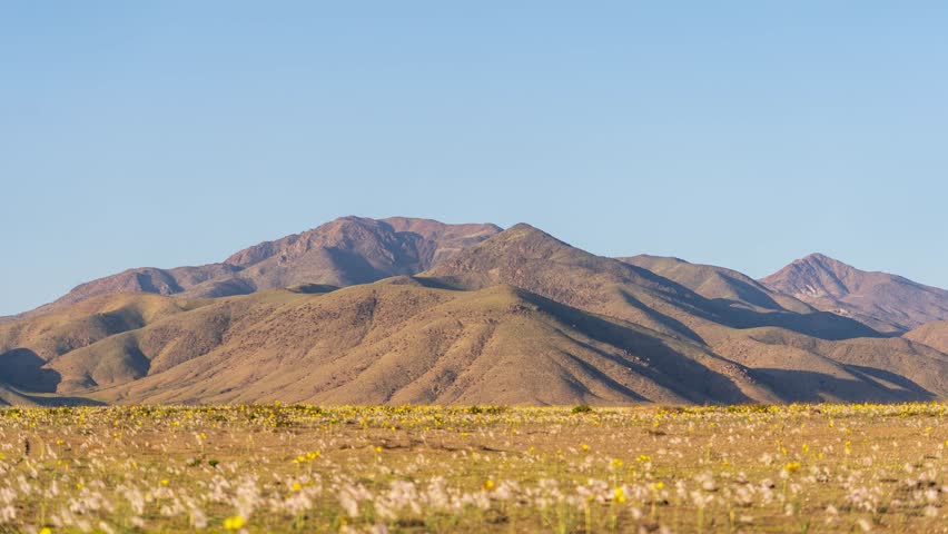 A Static time-lapse capturing the vibrant color transition from day to golden hour over the blooming Atacama Desert mountains