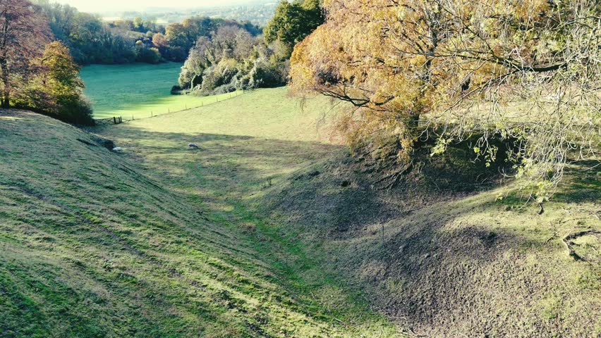 Rolling Green hills with grazing sheep, scattered autumn trees, and a distant forest under blue sky