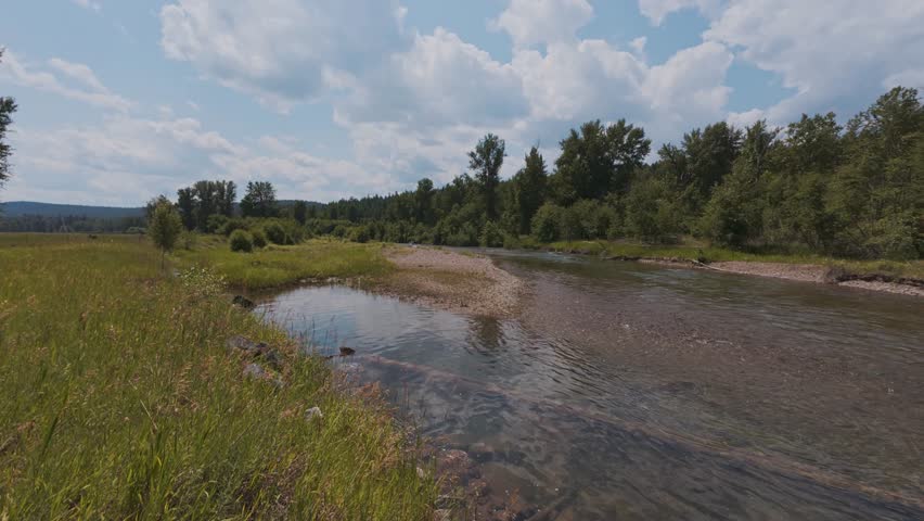 A calm stream flows beside grassy meadows and forested banks under a partly cloudy summer sky