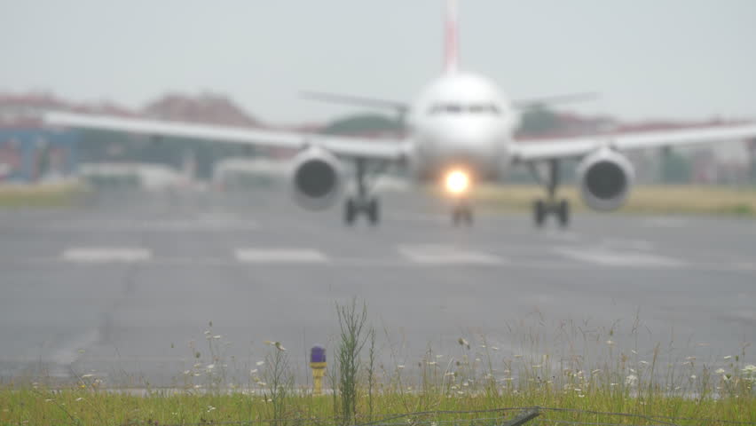 Commercial airplane blurred on runway with clear focus on wild grass and flowers in foreground