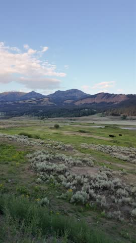 Yellowstone National Park in July 2025, Geysers, Rainbow, Lake, Animals, Eruption, Canyon