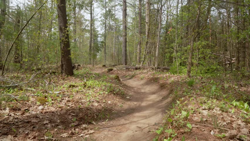 A male mountain biker riding through a forest trail, leaning into a dirt berm turn