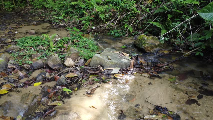 Corriente de Quebrada de agua dulce
