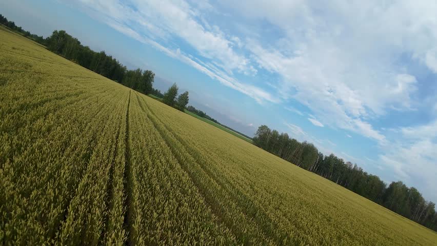 FPV drone flying between bales of straw lying on a wheat field. Agricultural landscape at sunset.