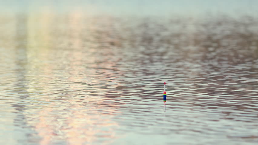 Close Up Of A Fishing Float (Bobber) On The Water Suddenly Twitching And Moving, Signaling A Fish Is Biting The Bait. Moment Of Excitement And Anticipation For An Angler.