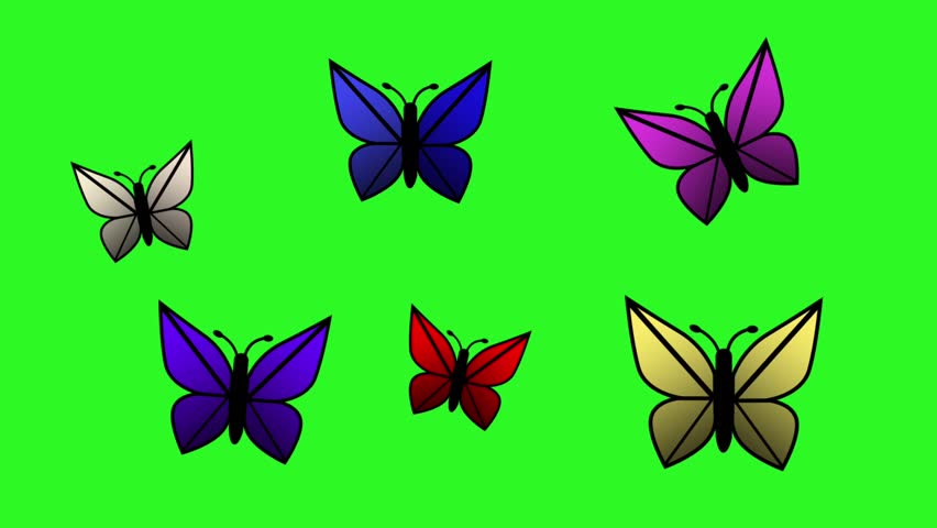 Six colorful cartoon butterflies with flapping wings on a green background. Seamless looped 2D animation with black outlines and gradient fills.