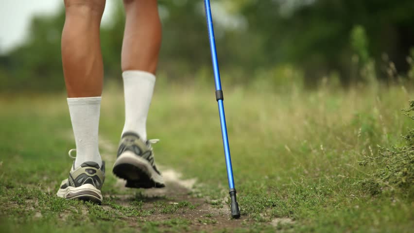 Hiking Exercise Trail Walk. Nordic Walking Trekking Poles. Summer Hiking Day Staying Fit. Trail Running Cardio Exercise. Runner Sportswear And Equipment. Endurance Training. Trail Fitness Running