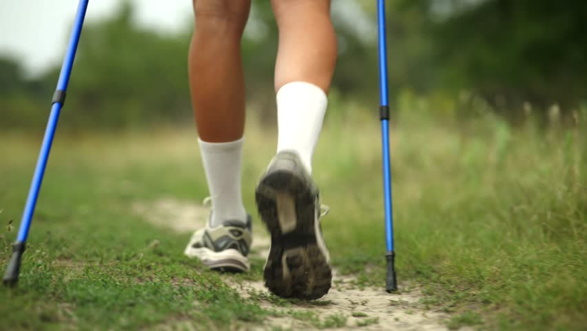 Hiking Exercise Trail Walk. Nordic Walking Trekking Poles. Summer Hiking Day Staying Fit. Trail Running Cardio Exercise. Runner Sportswear And Equipment. Endurance Training. Trail Fitness Running