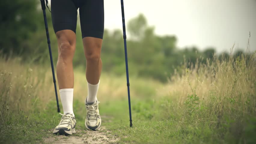 Hiking Exercise Trail Walk. Nordic Walking Trekking Poles. Summer Hiking Day Staying Fit. Trail Running Cardio Exercise. Runner Sportswear And Equipment. Endurance Training. Trail Fitness Running