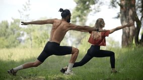 Two People Practicing Synchronized Yoga Poses. Core Muscles Maintaining Balance And Stretching. Yoga Dynamic Warrior Stance. Fitness Training. Strength, Flexibility And Coordination. Body Harmony Yoga - Powered by Shutterstock - Get 15% off with code: PIKWIZARD15