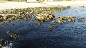 Rocky shoreline with green seaweed and waves - Powered by Shutterstock - Get 15% off with code: PIKWIZARD15