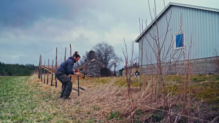 Man Building Traditional Norwegian Fence (Skigard) - Wide Shot