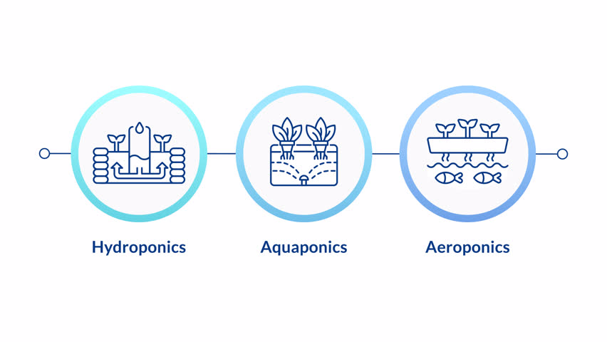 Vertical farming infographic circles animation. Hydroponics, aquaponics and aeroponics. Innovation in agriculture. Flowchart dynamic presentation with 3 steps process. HD video, motion graphics
