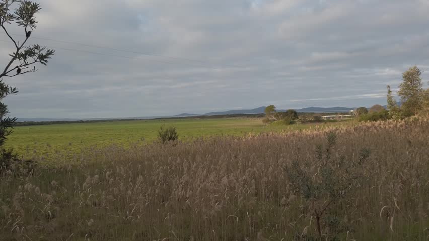 Beautiful landscape of Big Drift at twilight in Wilsons Promontory, Australia.